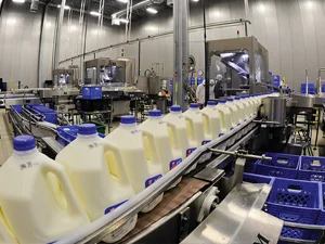 pulley for dairy plant